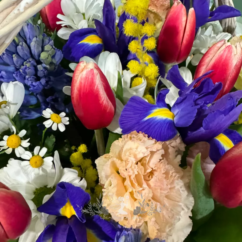 Сборная композиция &laquo;Яркий Бум&raquo;  1